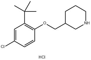 3-{[2-(tert-Butyl)-4-chlorophenoxy]-methyl}piperidine hydrochloride 化学構造式