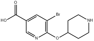 5-ブロモ-6-(ピペリジン-4-イルオキシ)ニコチン酸 化学構造式