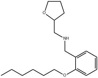 [2-(Hexyloxy)phenyl]-N-(tetrahydro-2-furanylmethyl)methanamine 结构式