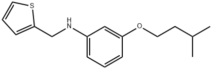 3-(イソペンチルオキシ)-N-(2-チエニルメチル)アニリン 化学構造式