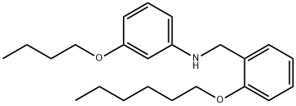 3-BUTOXY-N-[2-(HEXYLOXY)BENZYL]ANILINE, 1040683-28-0, 结构式