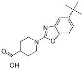1-(5-tert-butyl-1,3-benzoxazol-2-yl)piperidine-4-carboxylic acid Struktur