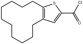 4,5,6,7,8,9,10,11,12,13-decahydrocyclododeca[b]thiophene-2-carbonyl chloride 化学構造式