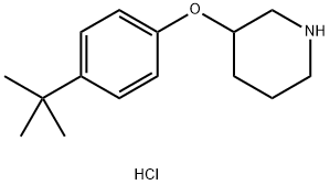 3-[4-(tert-Butyl)phenoxy]piperidine hydrochloride Struktur
