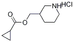 1219980-64-9 3-Piperidinylmethyl cyclopropanecarboxylatehydrochloride