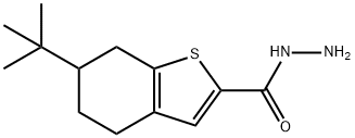 6-TERT-BUTYL-4,5,6,7-TETRAHYDRO-1-BENZOTHIOPHENE-2-CARBOHYDRAZIDE Structure