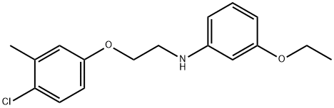 N-[2-(4-クロロ-3-メチルフェノキシ)エチル]-3-エトキシアニリン 化学構造式