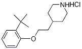 4-{2-[2-(tert-Butyl)phenoxy]ethyl}piperidinehydrochloride Struktur