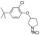 3-[4-(tert-Butyl)-2-chlorophenoxy]pyrrolidinehydrochloride 化学構造式