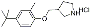3-{[4-(tert-Butyl)-2-methylphenoxy]-methyl}pyrrolidine hydrochloride Structure