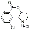 3-Pyrrolidinyl 4-chloro-2-pyridinecarboxylatehydrochloride Structure