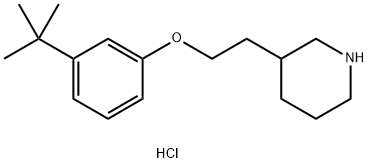 3-{2-[3-(tert-Butyl)phenoxy]ethyl}piperidinehydrochloride|