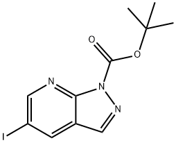 tert-Butyl 5-iodo-1H-pyrazolo[3,4-b]pyridine-1-carboxylate Struktur