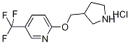 1220016-81-8 Structure