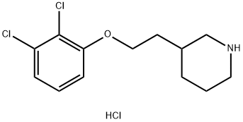 1219972-51-6 3-[2-(2,3-Dichlorophenoxy)ethyl]piperidinehydrochloride