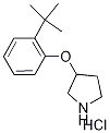 3-[2-(tert-Butyl)phenoxy]pyrrolidine hydrochloride Struktur