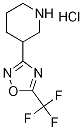 3-[5-(Trifluoromethyl)-1,2,4-oxadiazol-3-yl]-piperidine hydrochloride Structure