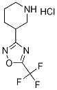 3-[5-(Trifluoromethyl)-1,2,4-oxadiazol-3-yl]-piperidine hydrochloride price.