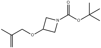 1380571-73-2 3-((2-甲基烯丙基)氧基)氮杂环丁烷-1-羧酸叔丁酯