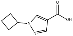 1-Cyclobutyl-1H-pyrazole-4-carboxylic acid Struktur