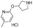 5-Methyl-2-(pyrrolidin-3-yloxy)pyridine hydrochloride Struktur