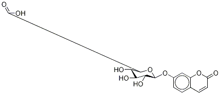 Umbelliferyl-13C6  -D-Glucuronide Struktur