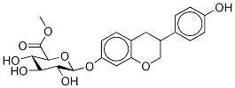 Methyl Equol-7-yl--D-glucopyranosidurinate Structure