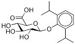 Propofol-d17 Glucuronide, , 结构式