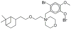 Pinaverium-D4 Bromide Structure