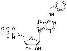 N-Benzyladenosine Triphosphate Structure