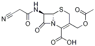 Cefaclor-d5 Structure