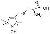 L-2-Amino-3-[thiomethyl-1-(1-oxyl-2,2,5,5-tetramethyl-3 -pyrrolin-3-yl)]propanoic Acid Dihydrochloride

 Struktur