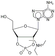 Adenosine 2’,3’-Cyclic Phosphate-13C5 Triethylammonium Salt Structure