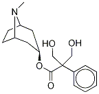 α-HydroxyMethyl Atropine-d5, , 结构式