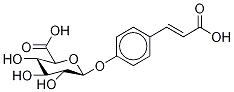 4-(2-Carboxyethenyl)phenyl-d4 β-D-Glucopyranosiduronic Acid