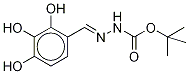 (2,3,4-Trihydroxyphenyl)methylenehydrazinecarboxylic Acid tert-Butyl Ester Structure