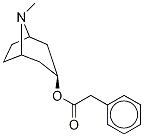 3α-Phenylacetoxy Tropane-d5 Structure
