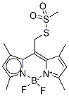 BODIPY METHANETHIOSULFONATE 化学構造式
