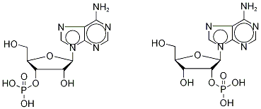 Adenosine Monophosphate (Mixture of 2'(3')-phosphate isoMers) Structure