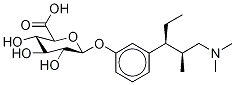 Tapentadol-d5 O-β-D-Glucuronide 化学構造式
