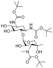 N,N,N-tert-Butoxycarbonyl GaraMine Structure