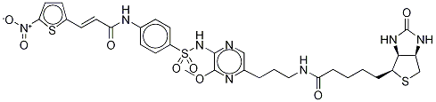 Biotin-NecrosulfonaMide Propyl AMide Structure