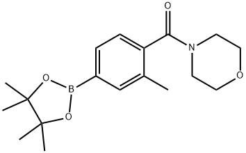 (2-METHYL-4-(4,4,5,5-TETRAMETHYL-1,3,2-DIOXABOROLAN-2-YL)PHENYL)(MORPHOLINO)METHANONE, 1013643-15-6, 结构式