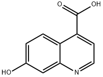 7-Hydroxy-quinoline-4-carboxylic acid Structure
