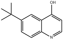 1065092-83-2 6-tert-Butyl-quinolin-4-ol