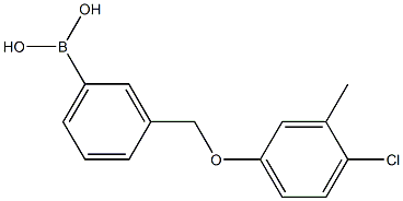 3-[(4-Chloro-3-Methylphenoxy)Methyl)phenylboronic 化学構造式