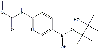 2-MethoxycarbonylaMinopyridine-5-boronic acid pinacol ester 结构式