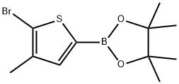 5-BroMo-4-Methylthiophene-2-boronic acid, pinacol ester Struktur