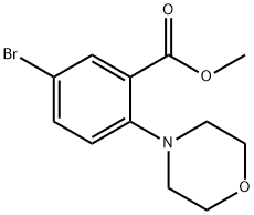 Methyl 5-broMo-2-Morpholinobenzoate Structure