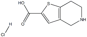 4,5,6,7-四氢噻吩并[3,2-C]吡啶-2-甲酸盐酸盐 结构式